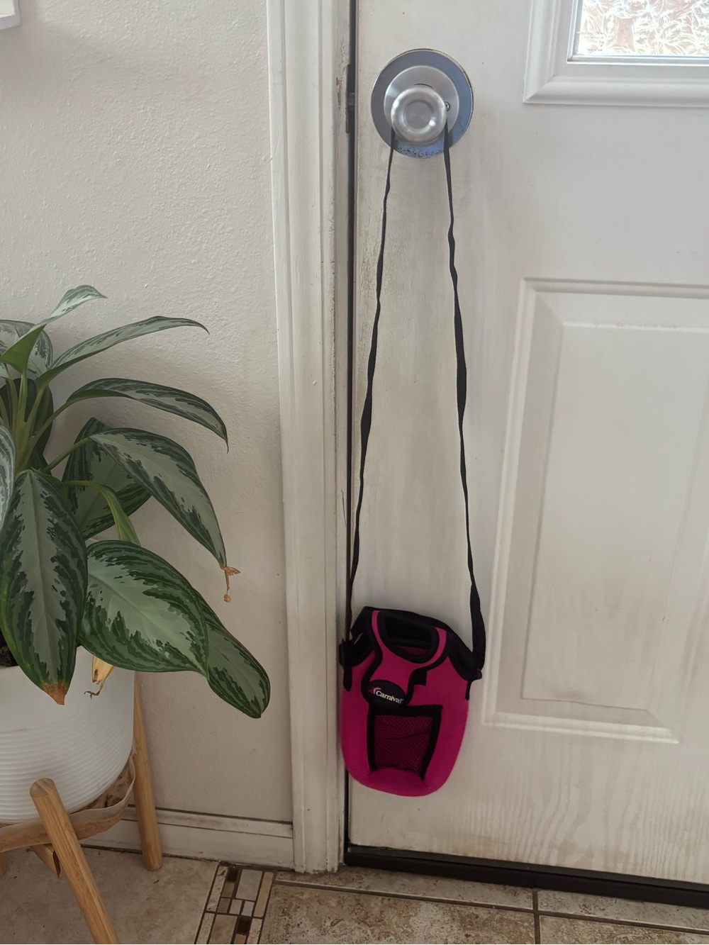 Carnival water bottle holder bag